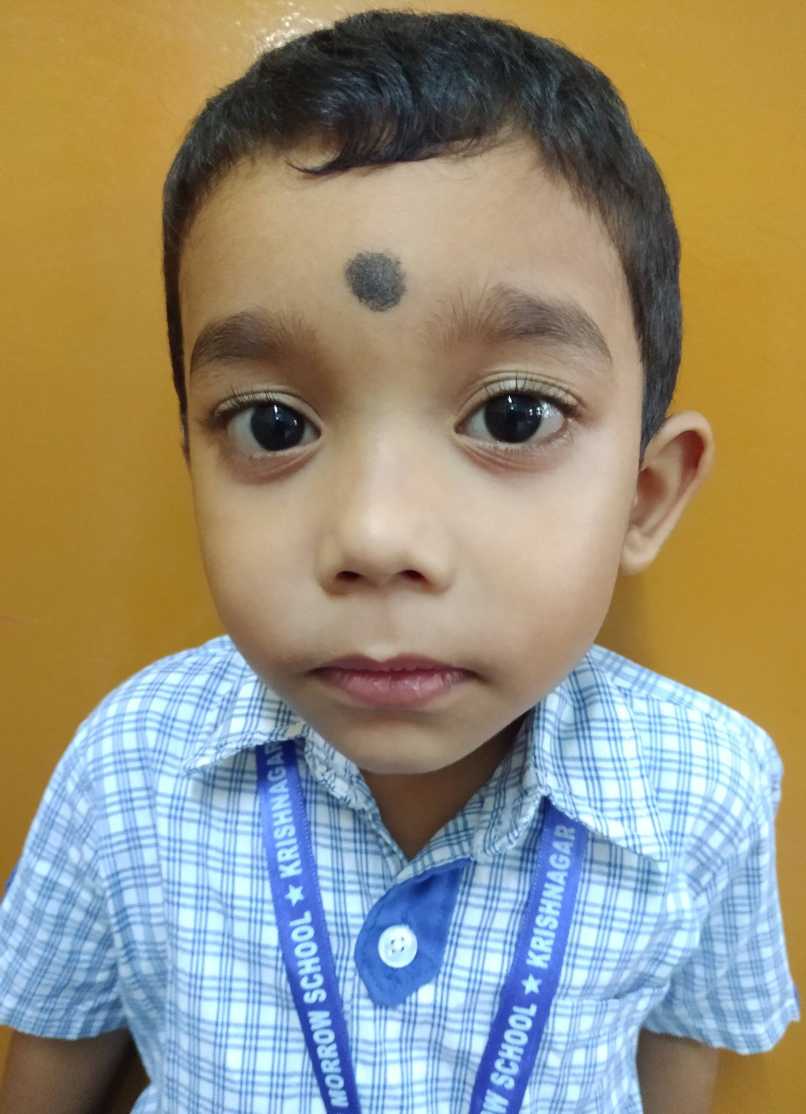 BINAYAK SARKAR